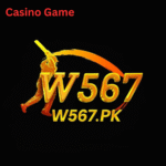 W567 Game